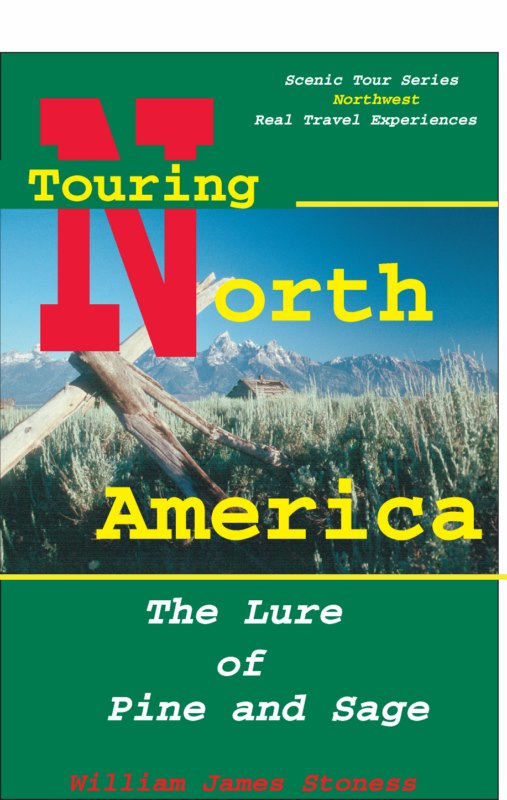 The Lure of Pine and Sage